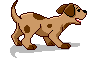 meinkleinerhundkleffie.gif meinkleinerhundkleffie.gif